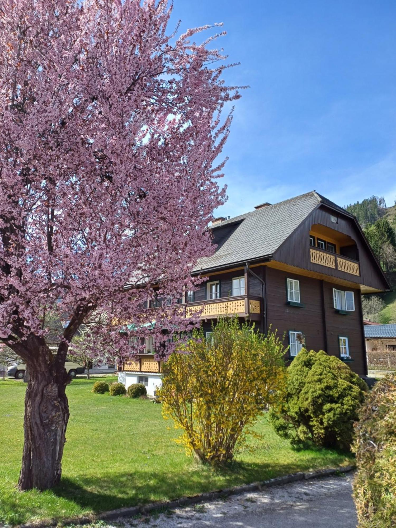 Appartement Steiner Schladming Exterior photo