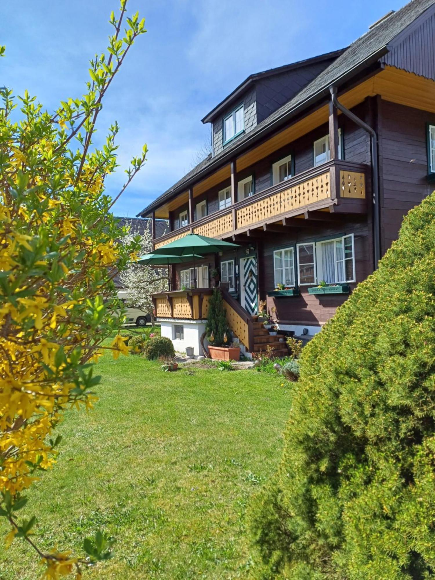 Appartement Steiner Schladming Exterior photo