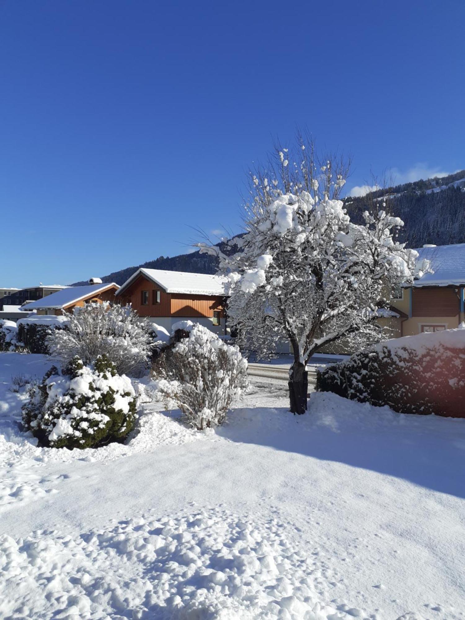 Appartement Steiner Schladming Exterior photo